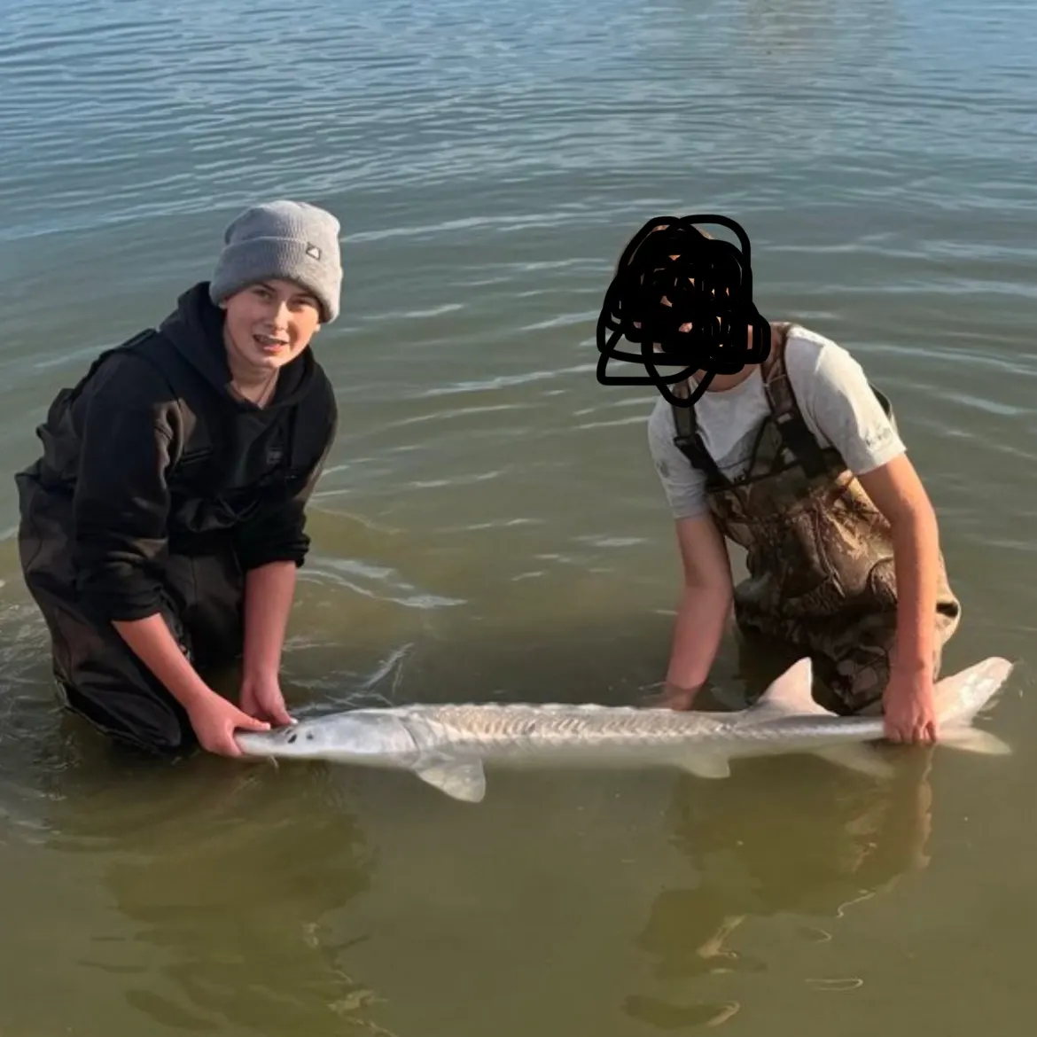 The most recent White sturgeon catches on Fishbrain