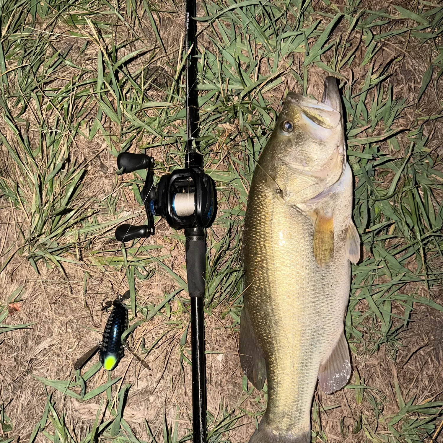Largemouth bass caught on Fishbrain