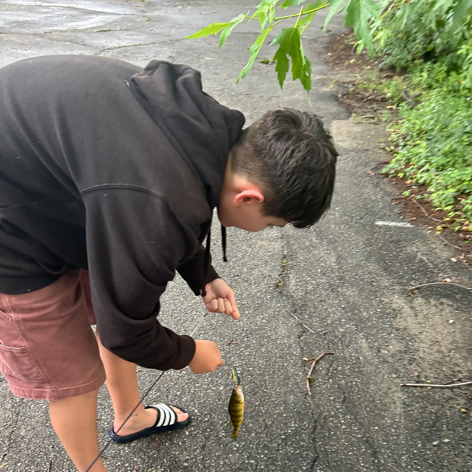 catch
