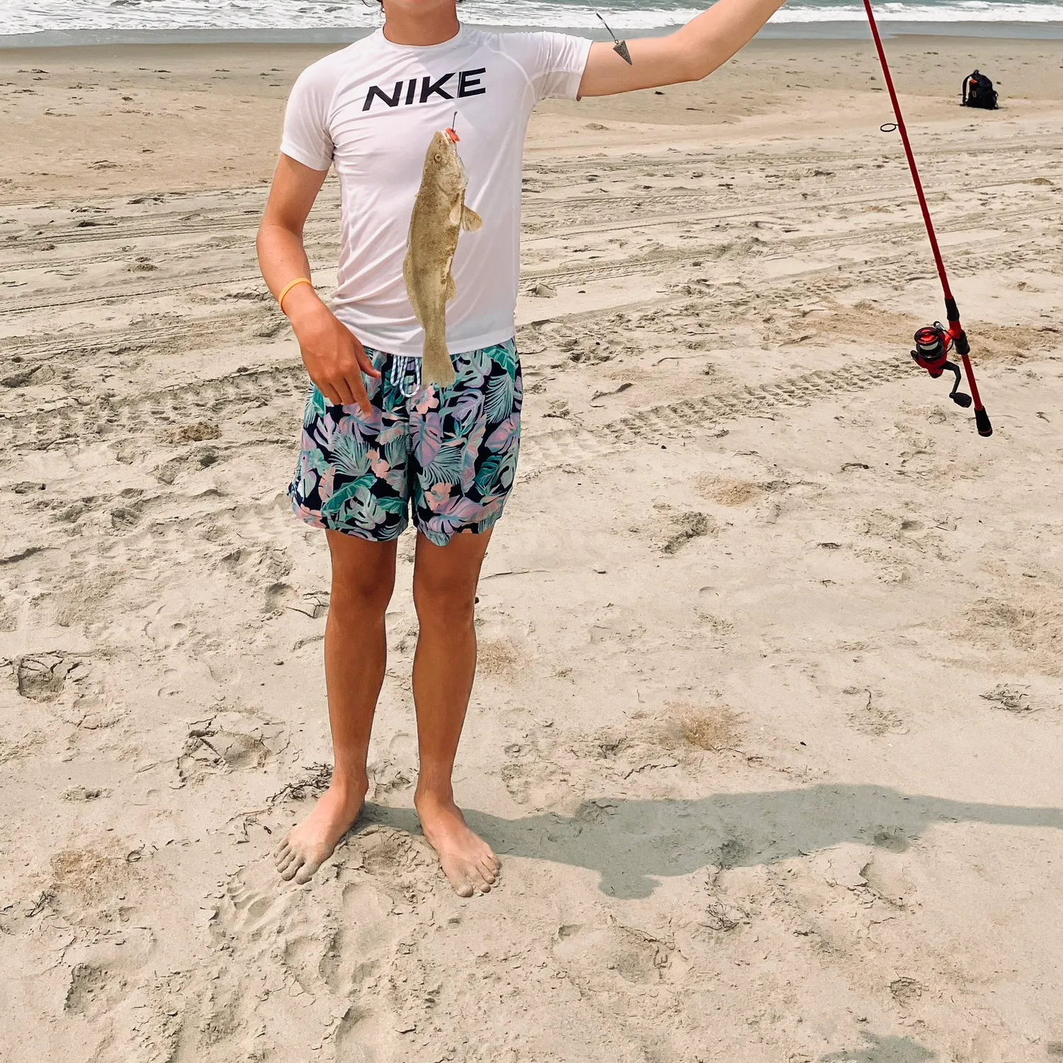 The most recent Thinlip grey mullet catches on Fishbrain
