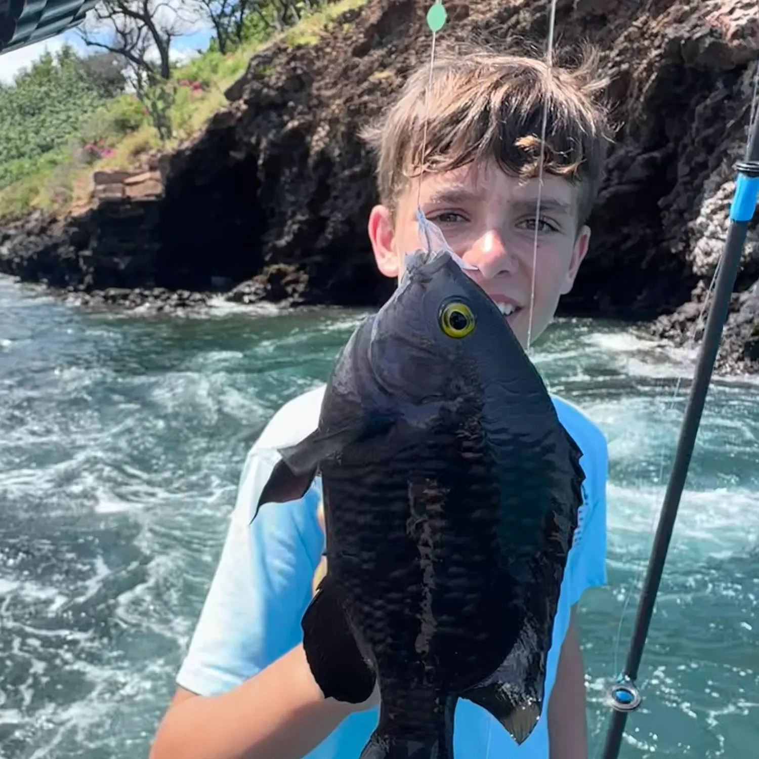 The most recent Hawaiian rock damselfish catches on Fishbrain