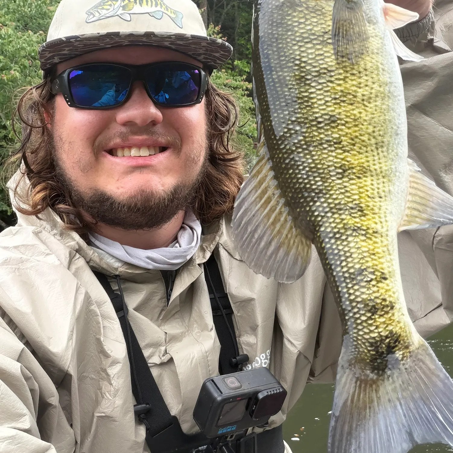 The most recent Shoal bass catches on Fishbrain