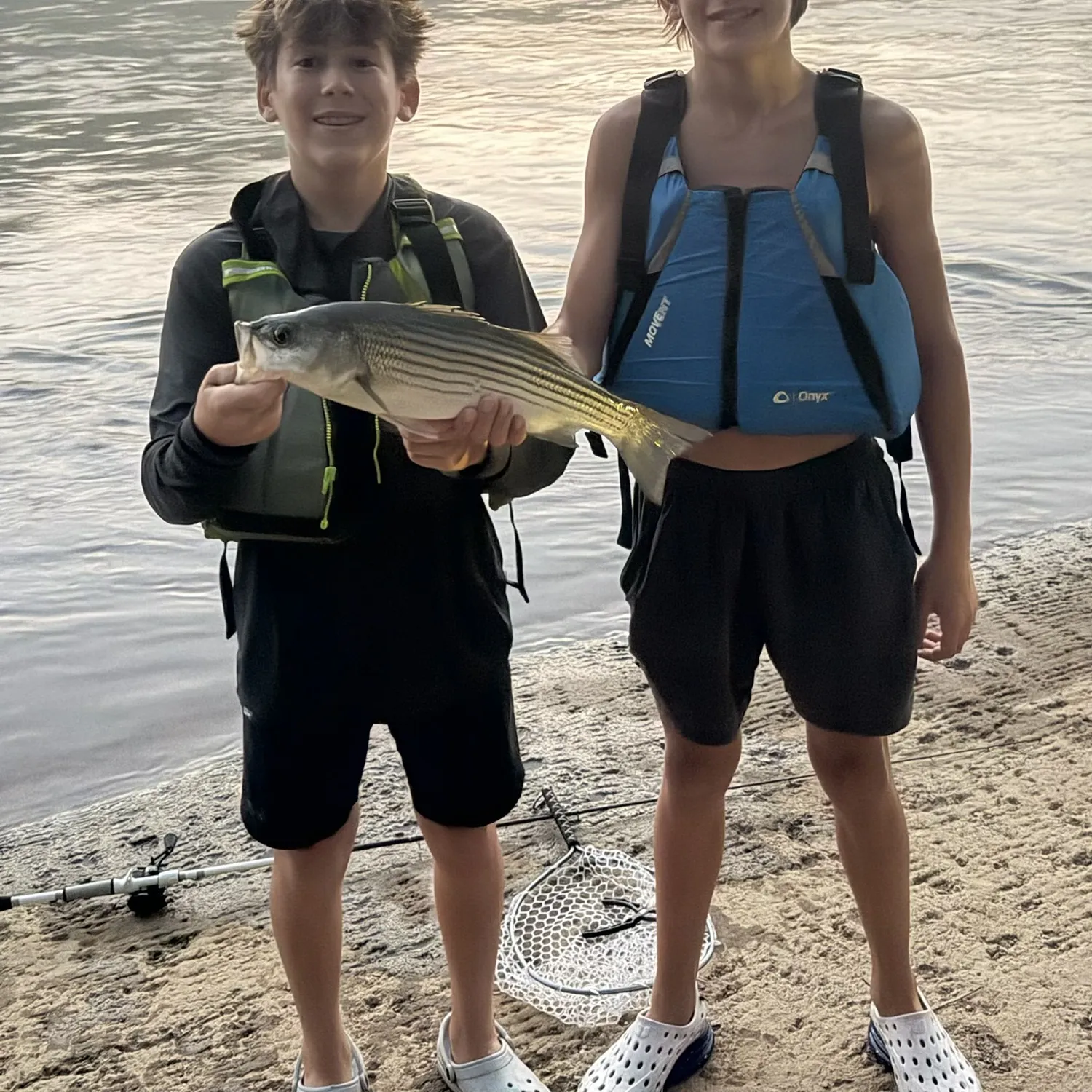 Striped bass caught on Fishbrain