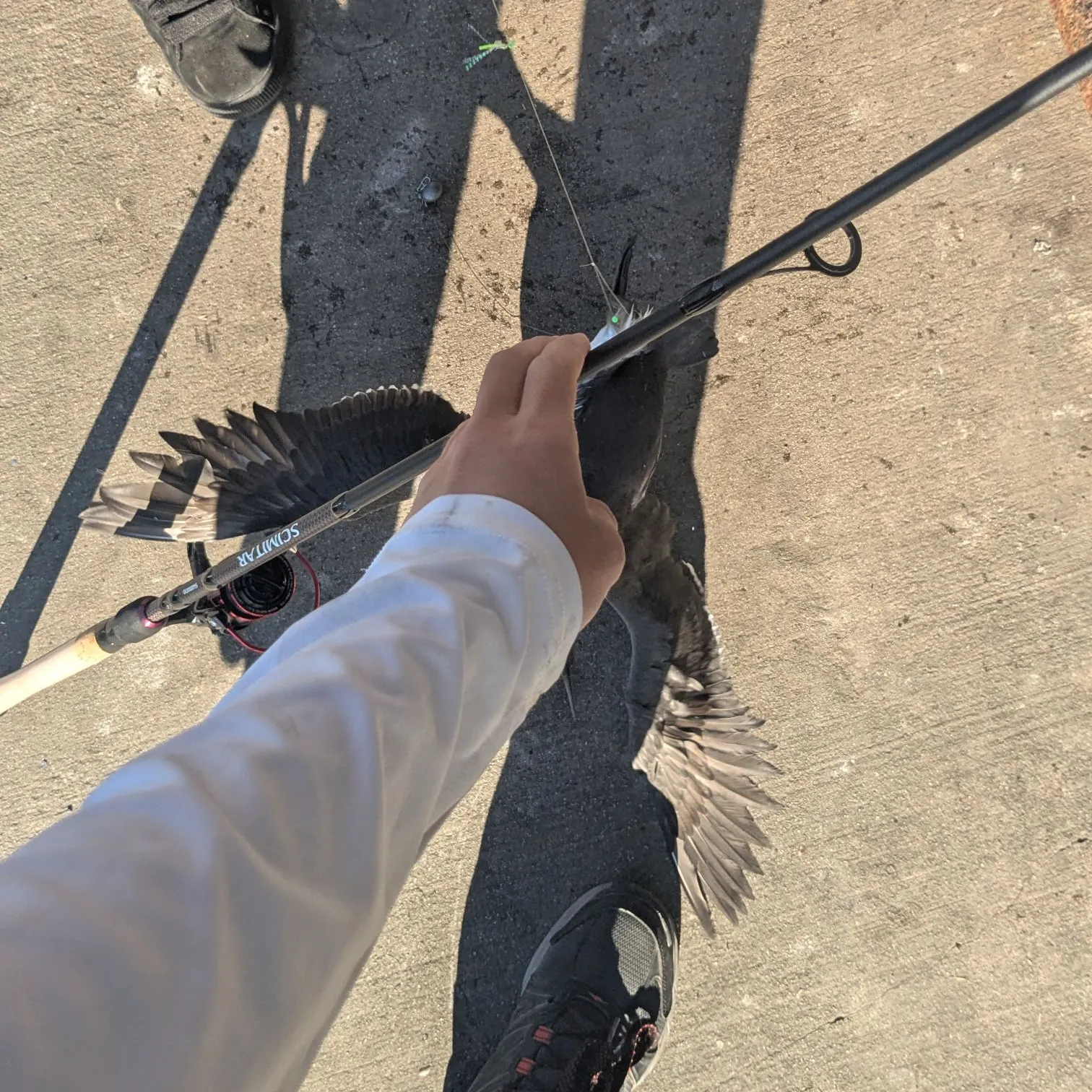 catch