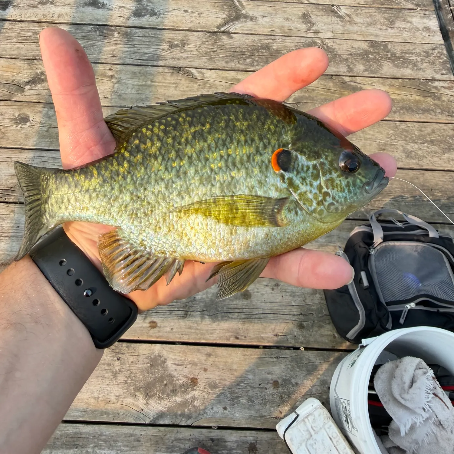catch