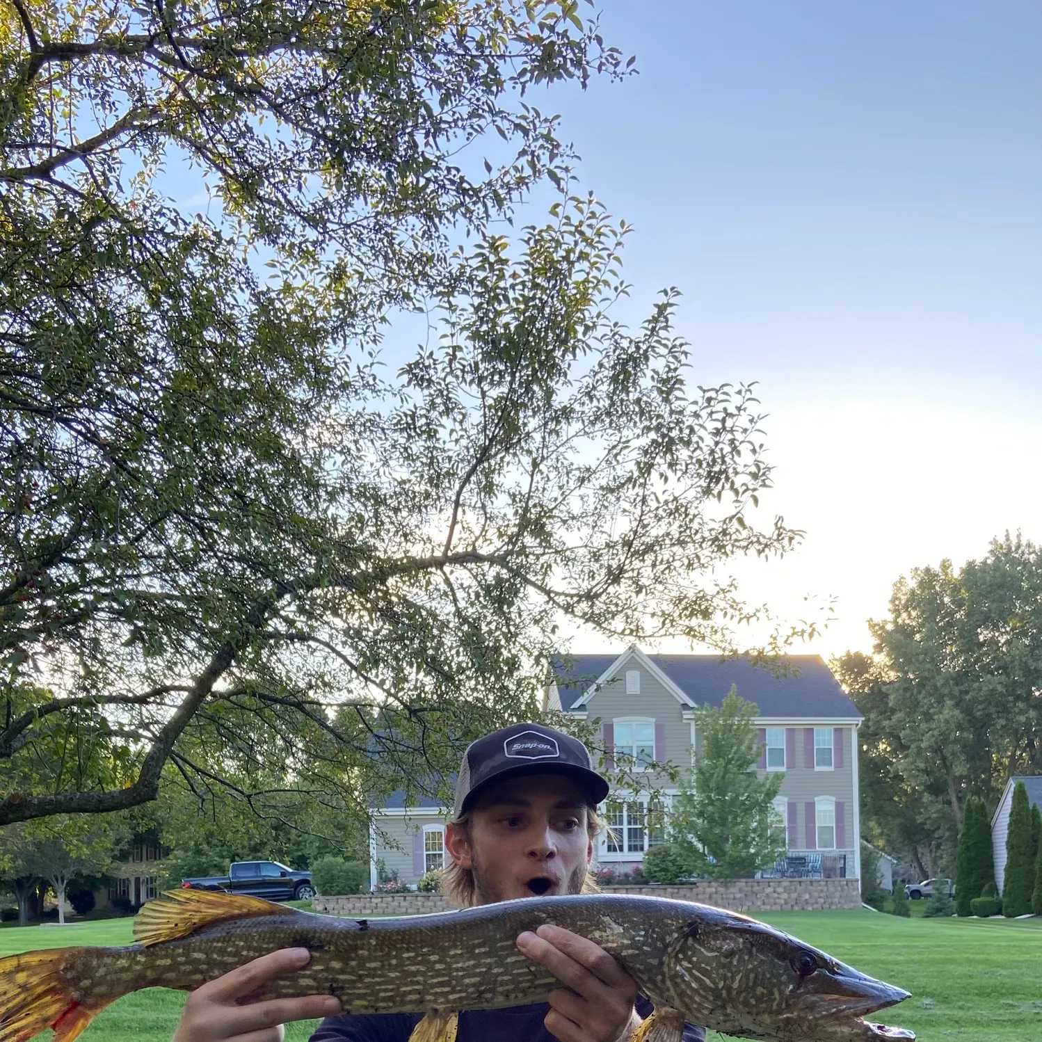 Northern pike caught on Fishbrain