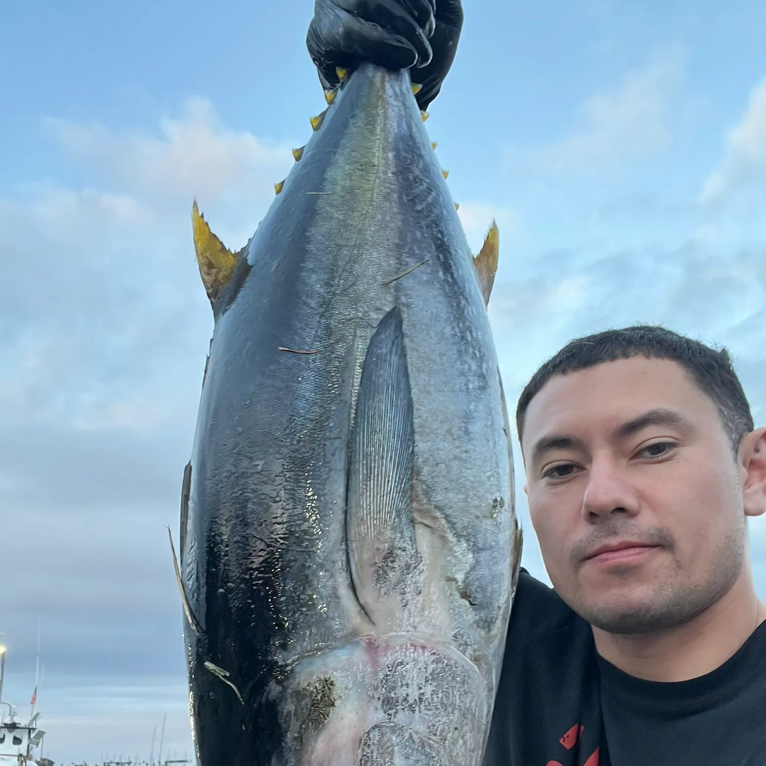 The most recent Yellowfin tuna catches on Fishbrain