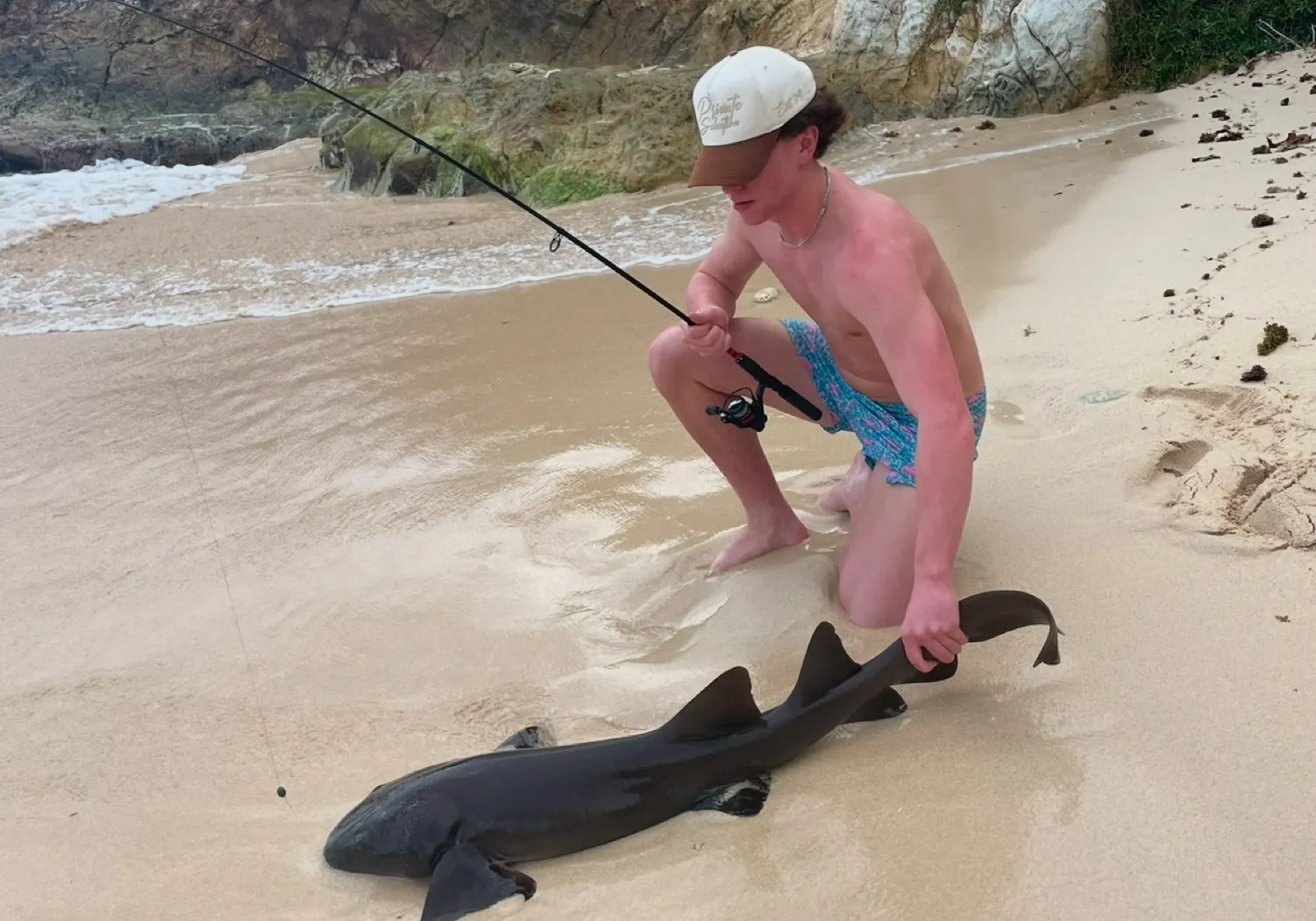 Nurse shark