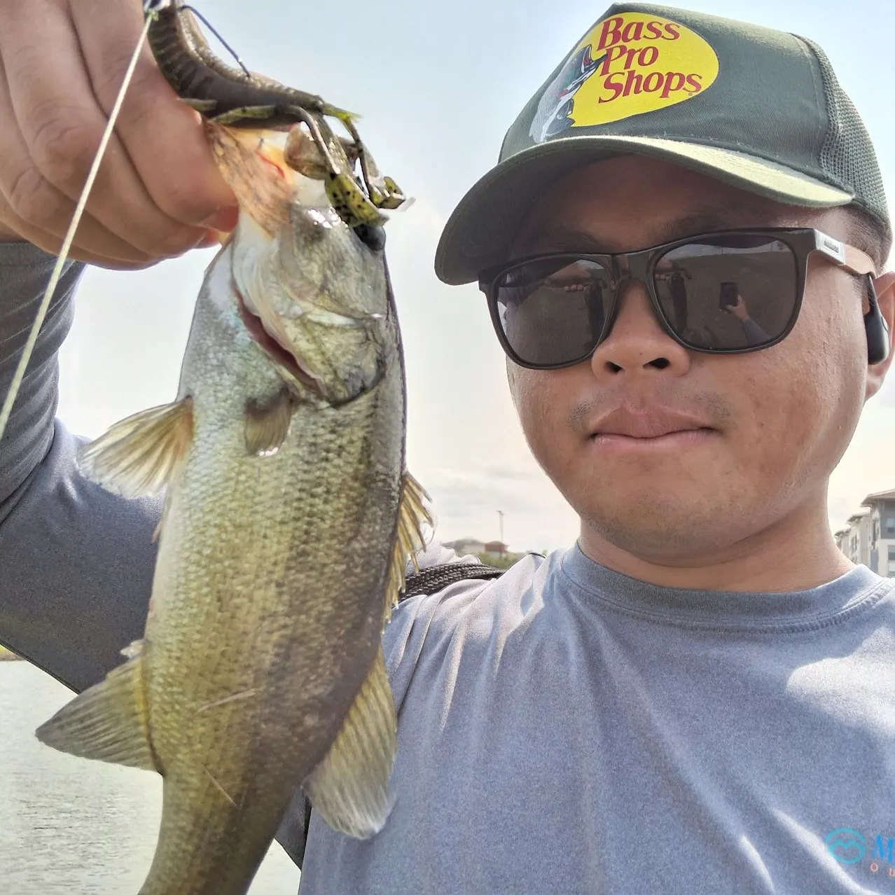 Largemouth bass caught on Fishbrain