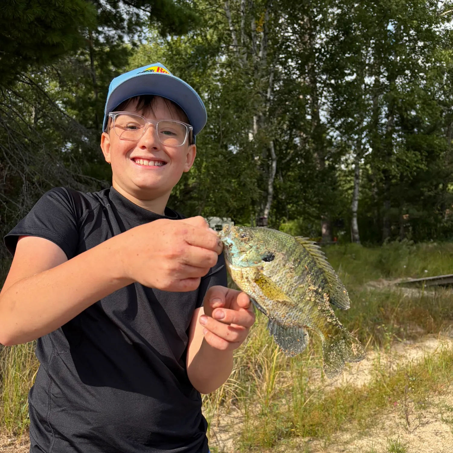 Bluegill caught on Fishbrain