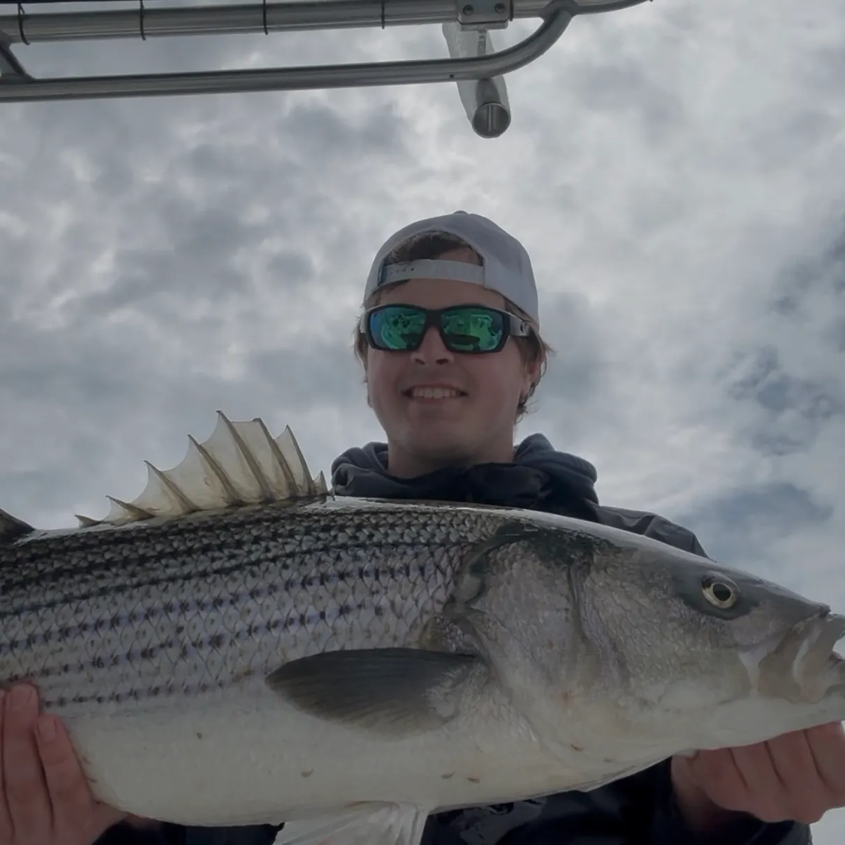 The most recent Striped bass catches on Fishbrain