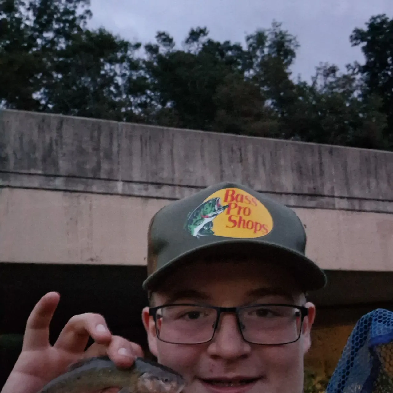 Creek chub caught on Fishbrain