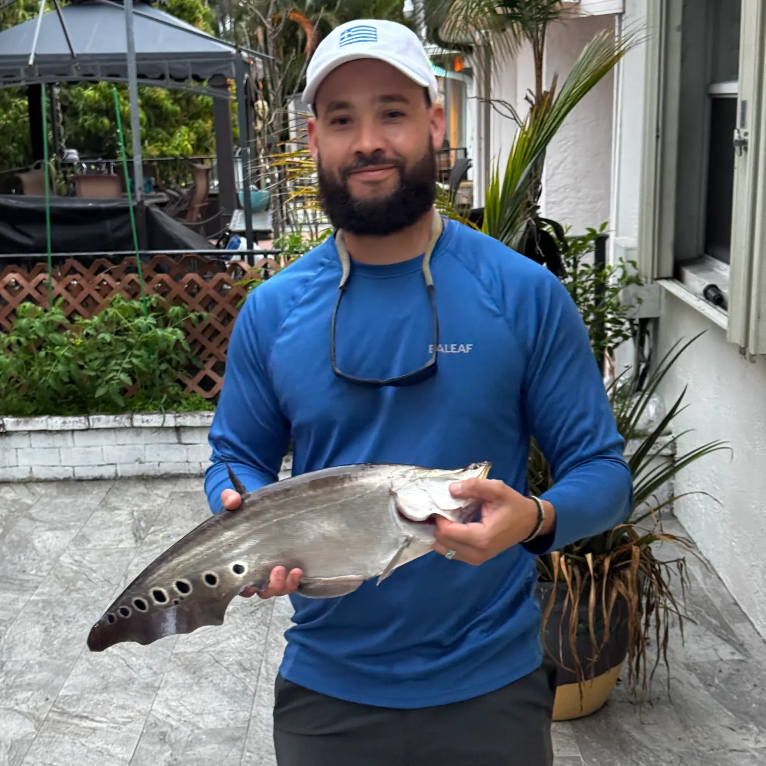 The most recent Clown knifefish catches on Fishbrain