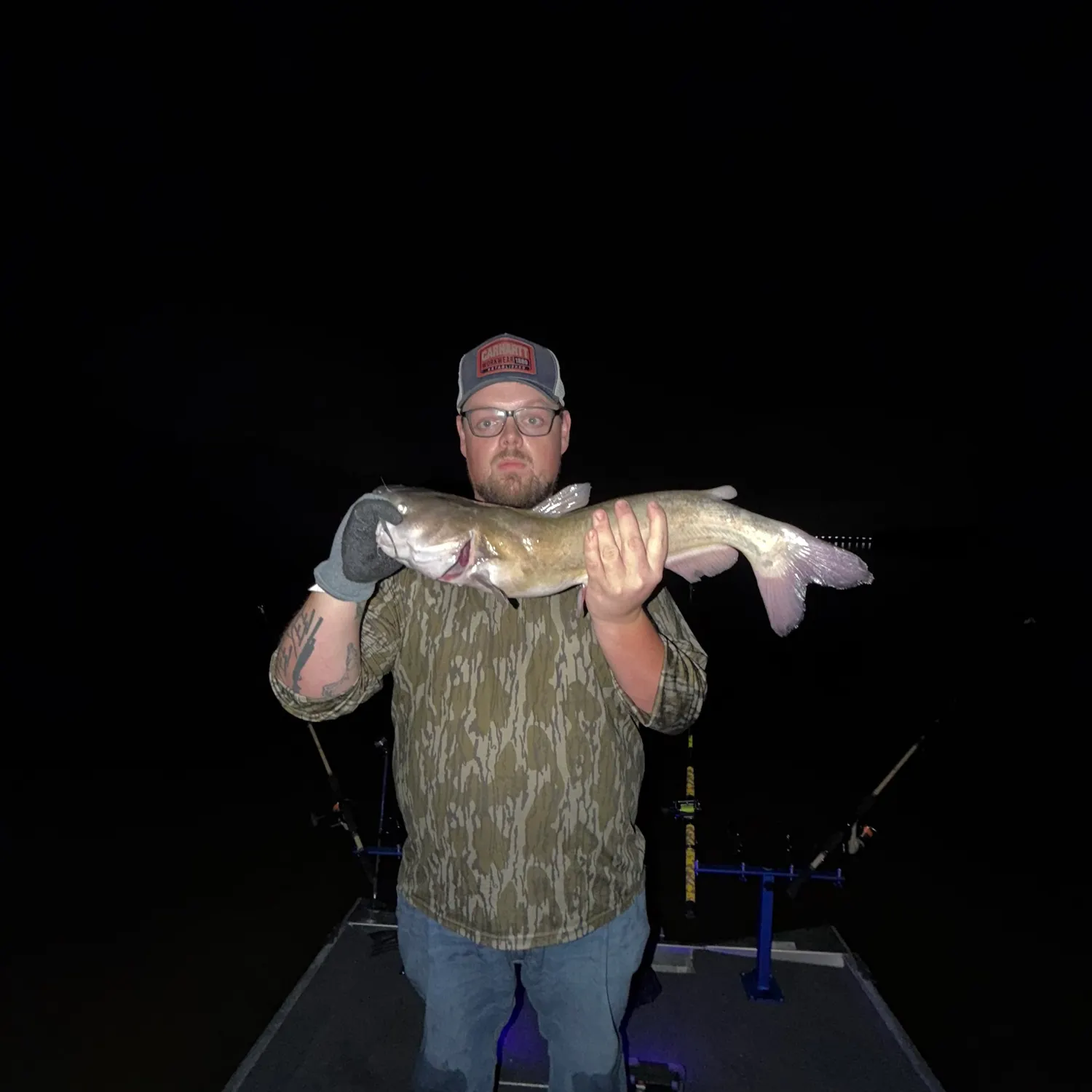 Channel catfish caught on Fishbrain