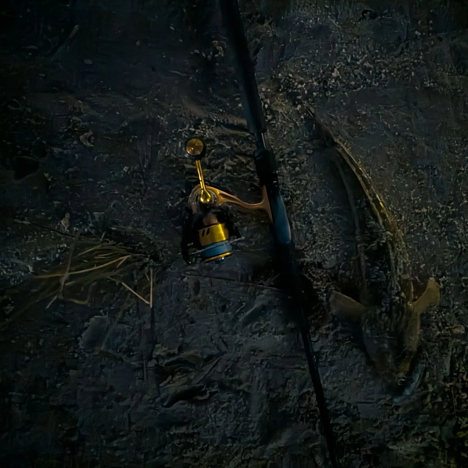 The most recent Bartail flathead catches on Fishbrain