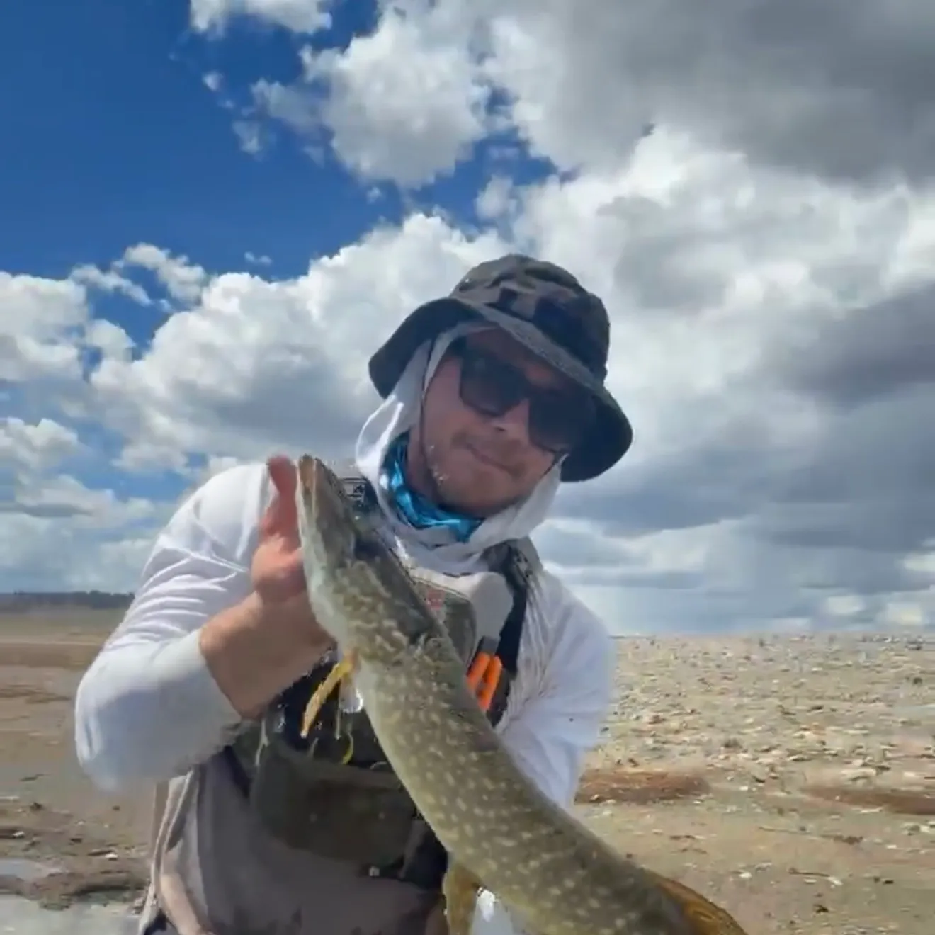 Northern pike caught on Fishbrain