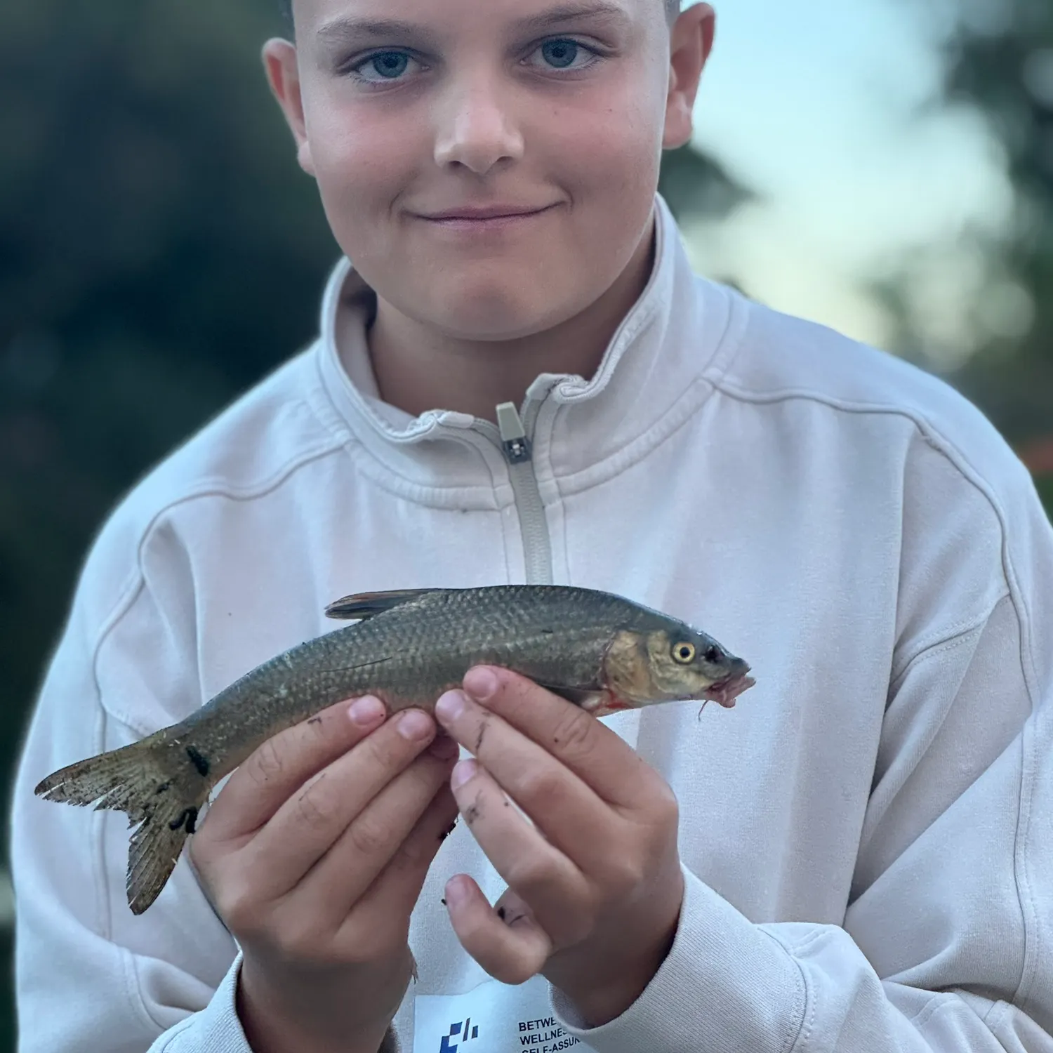Andalusian barbel caught on Fishbrain