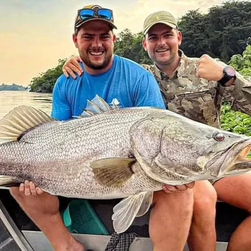 The most recent Nile perch catches on Fishbrain