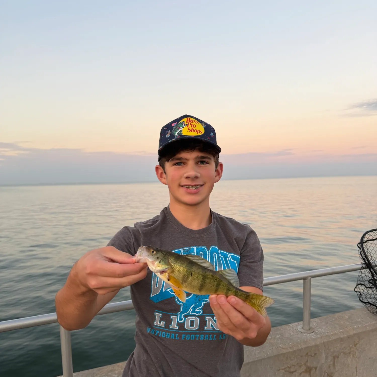 Yellow perch caught on Fishbrain