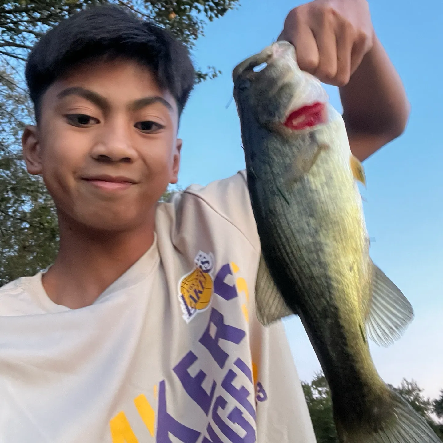 Largemouth bass caught on Fishbrain