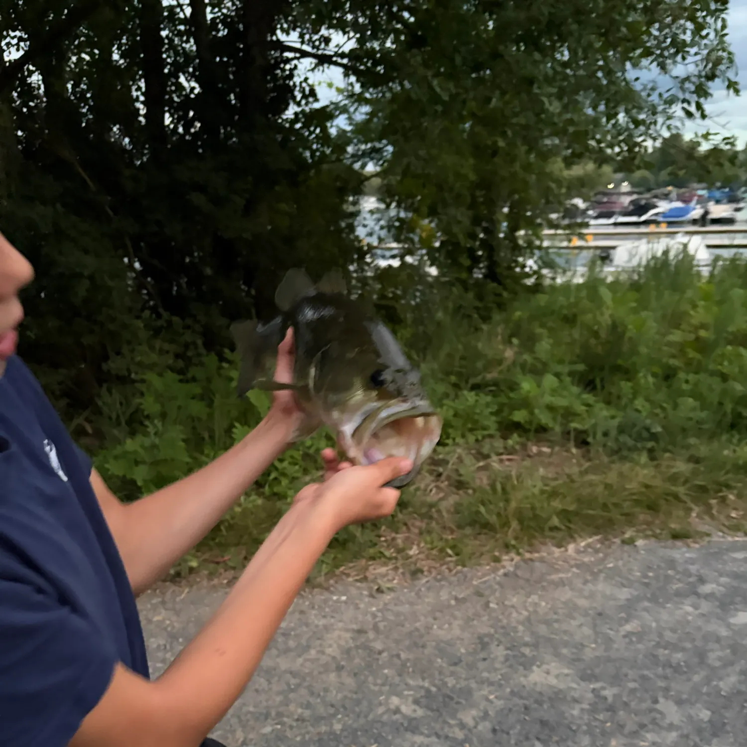 Fish caught on Fishbrain