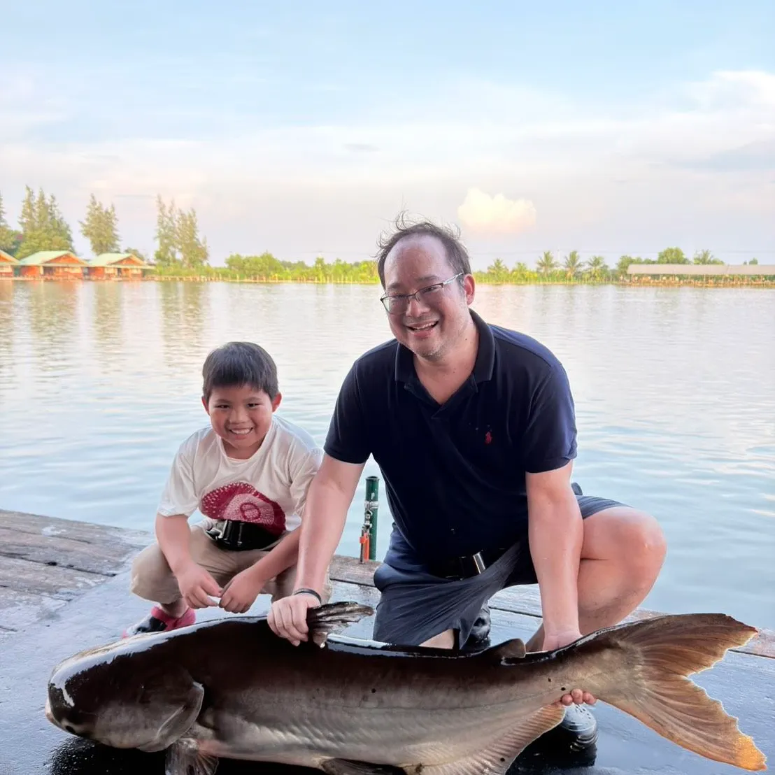 The most recent Mekong giant catfish catches on Fishbrain