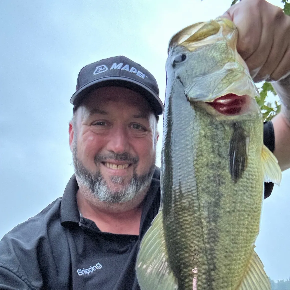 Largemouth bass caught on Fishbrain