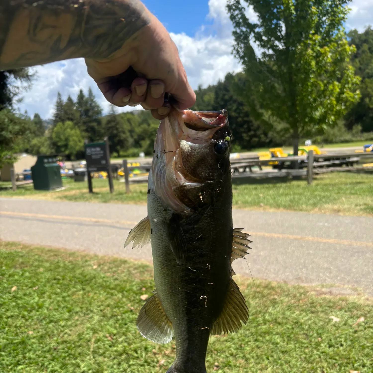 catch
