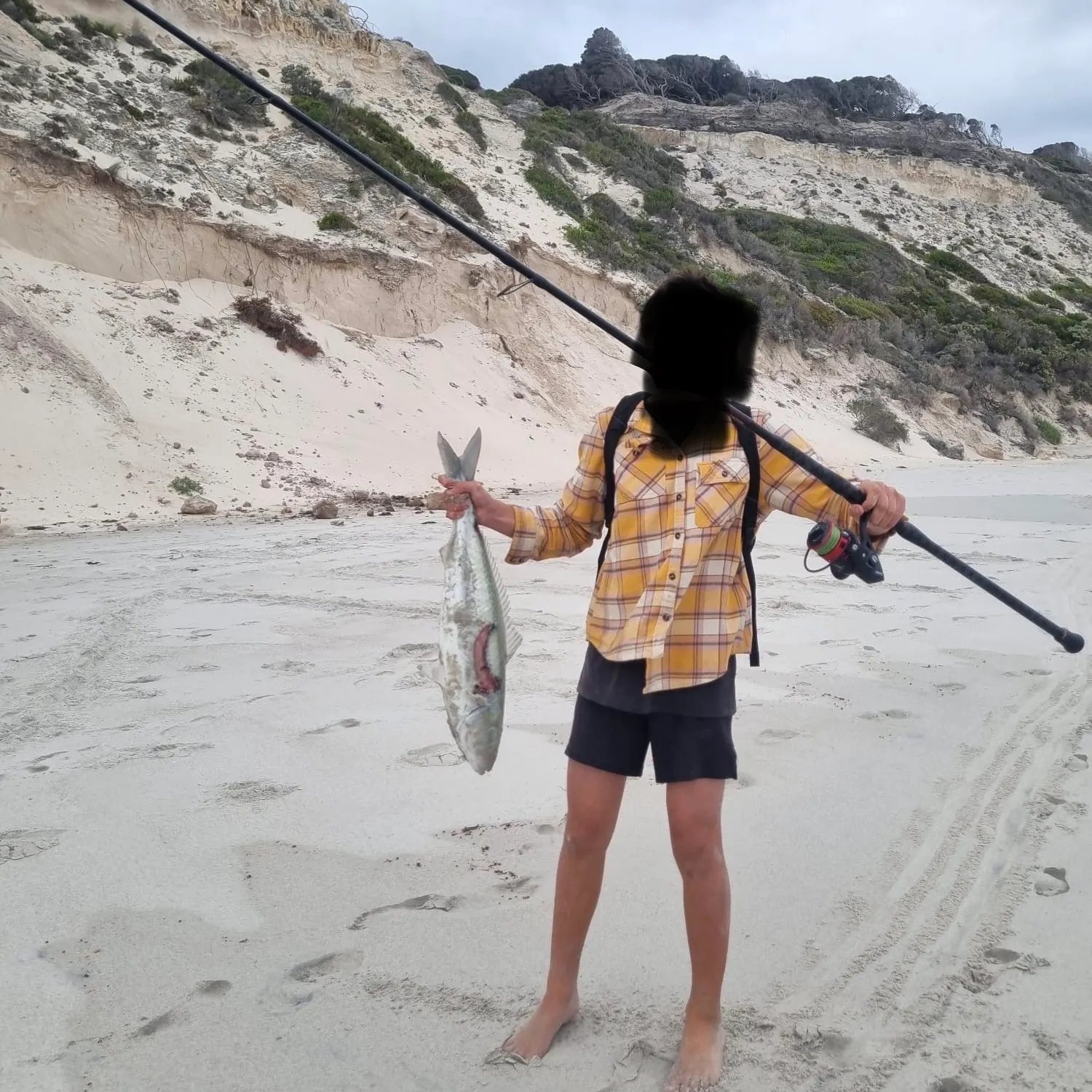 The most recent Western Australian salmon catches on Fishbrain