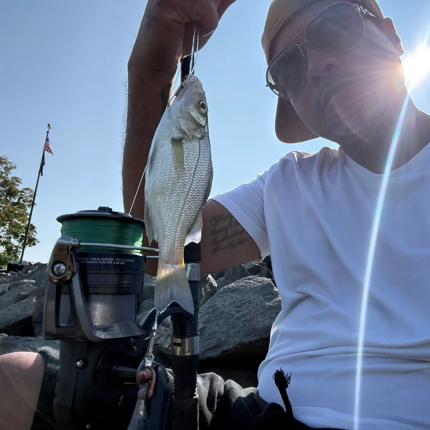 The most recent White perch catches on Fishbrain