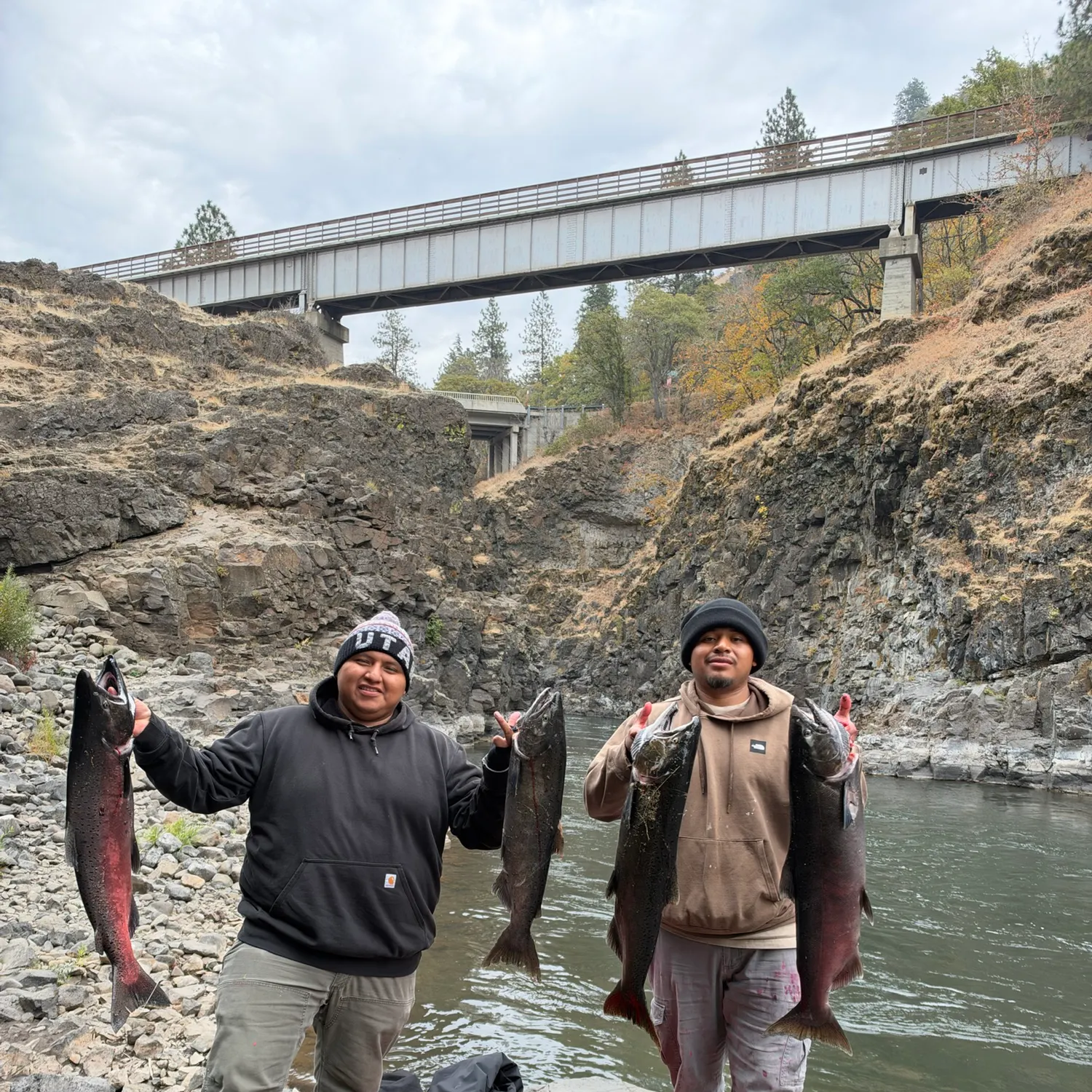 Chinook salmon caught on Fishbrain