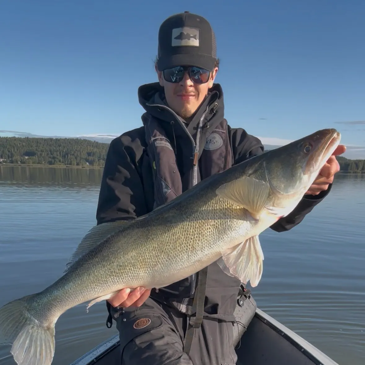 Zander caught on Fishbrain