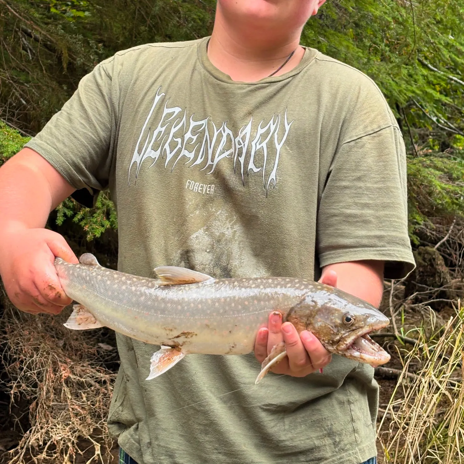 Bull trout caught on Fishbrain