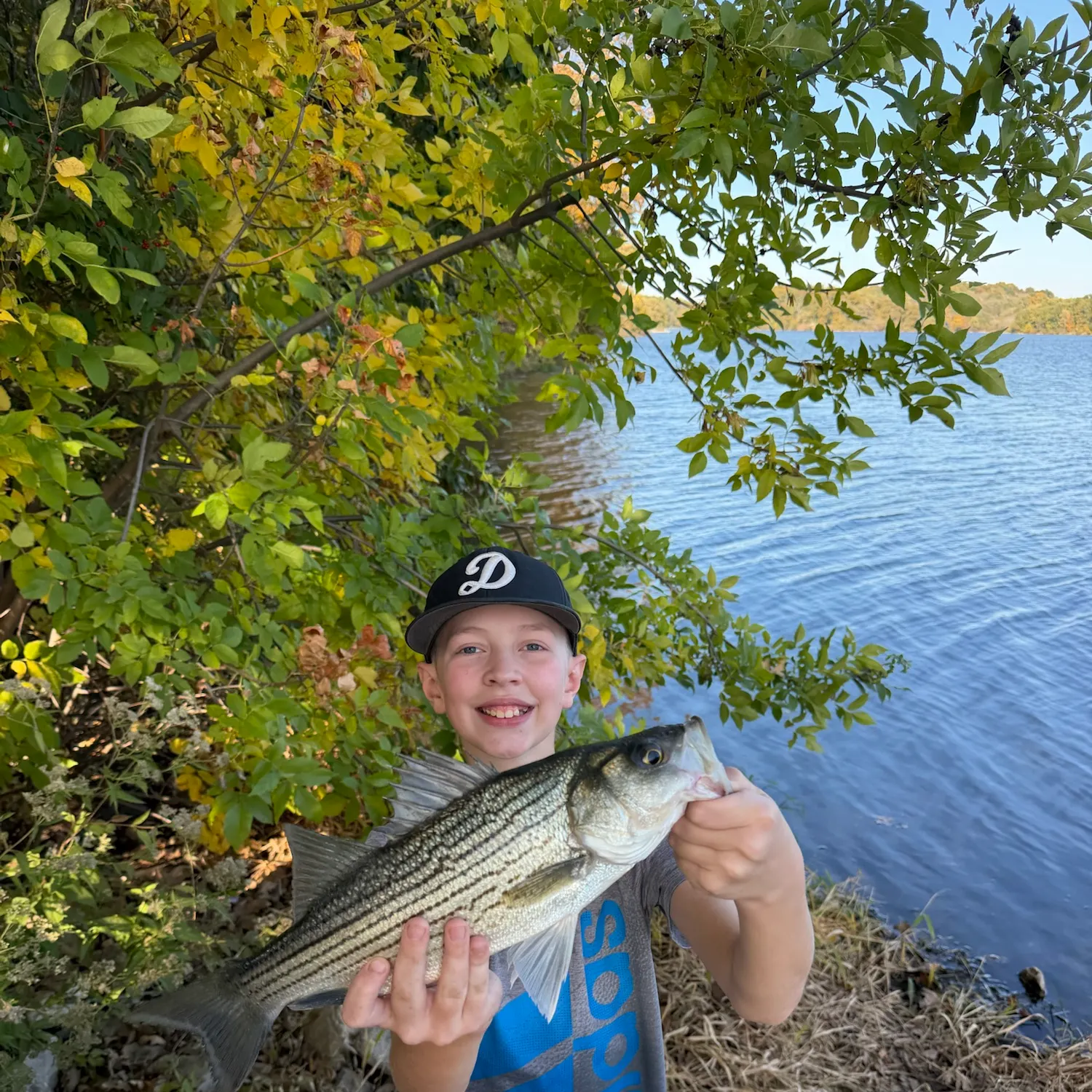 Wiper caught on Fishbrain