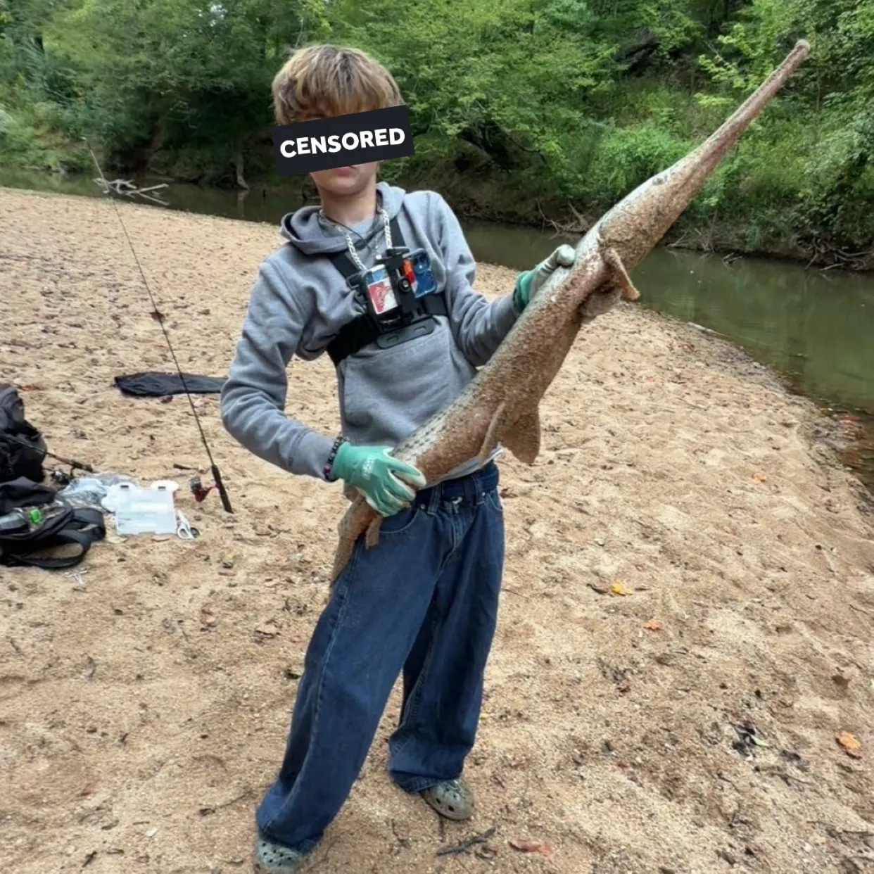 Longnose gar caught on Fishbrain