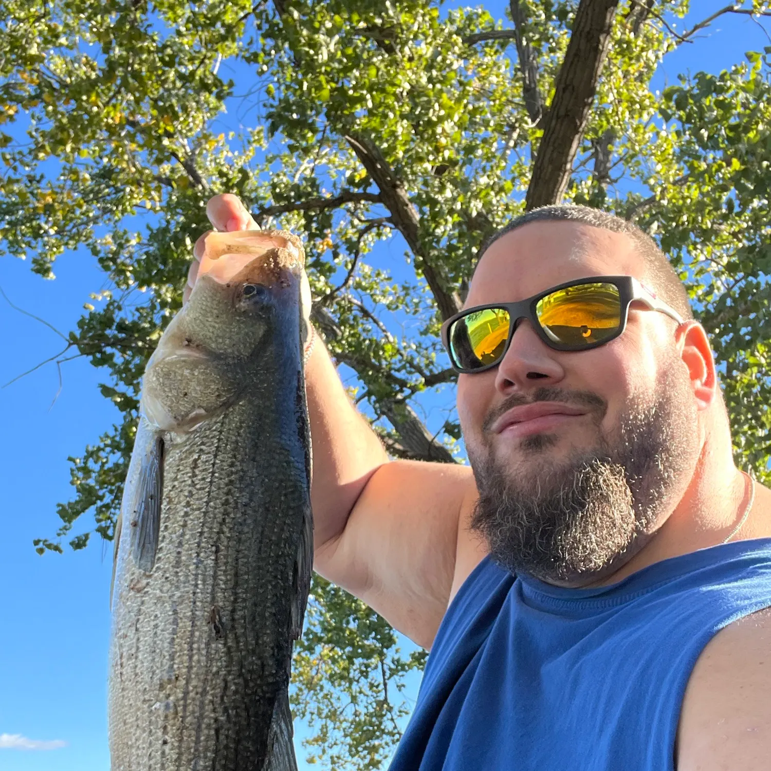 Wiper caught on Fishbrain