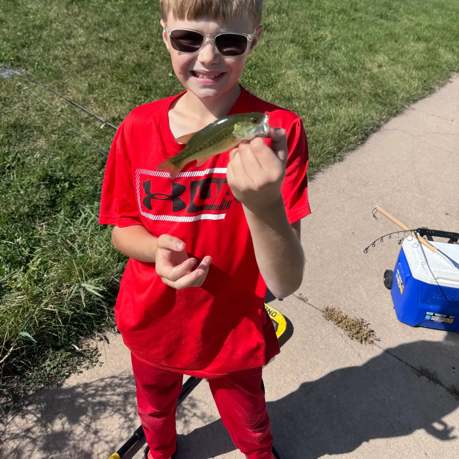 Fish caught on Fishbrain