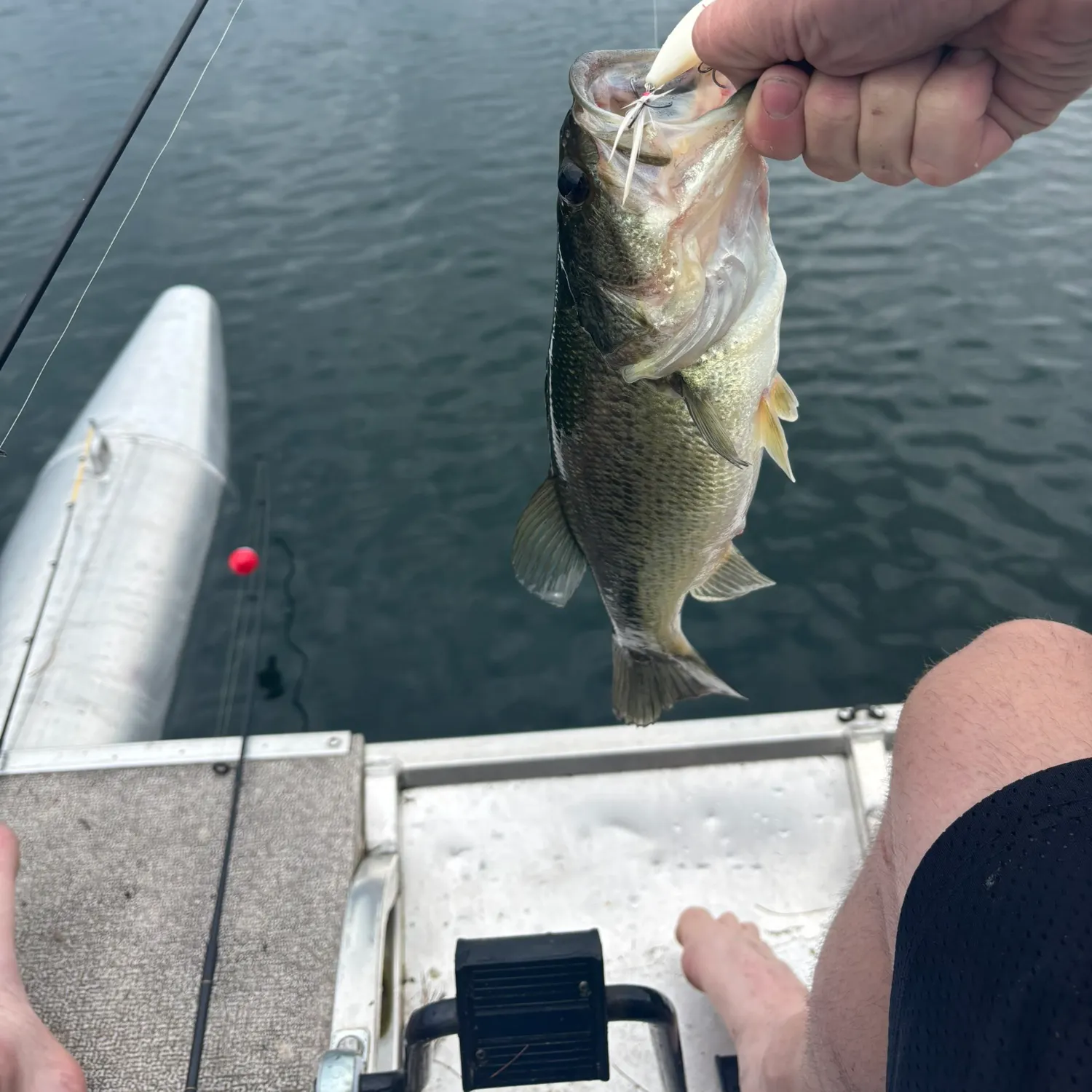 angler catch