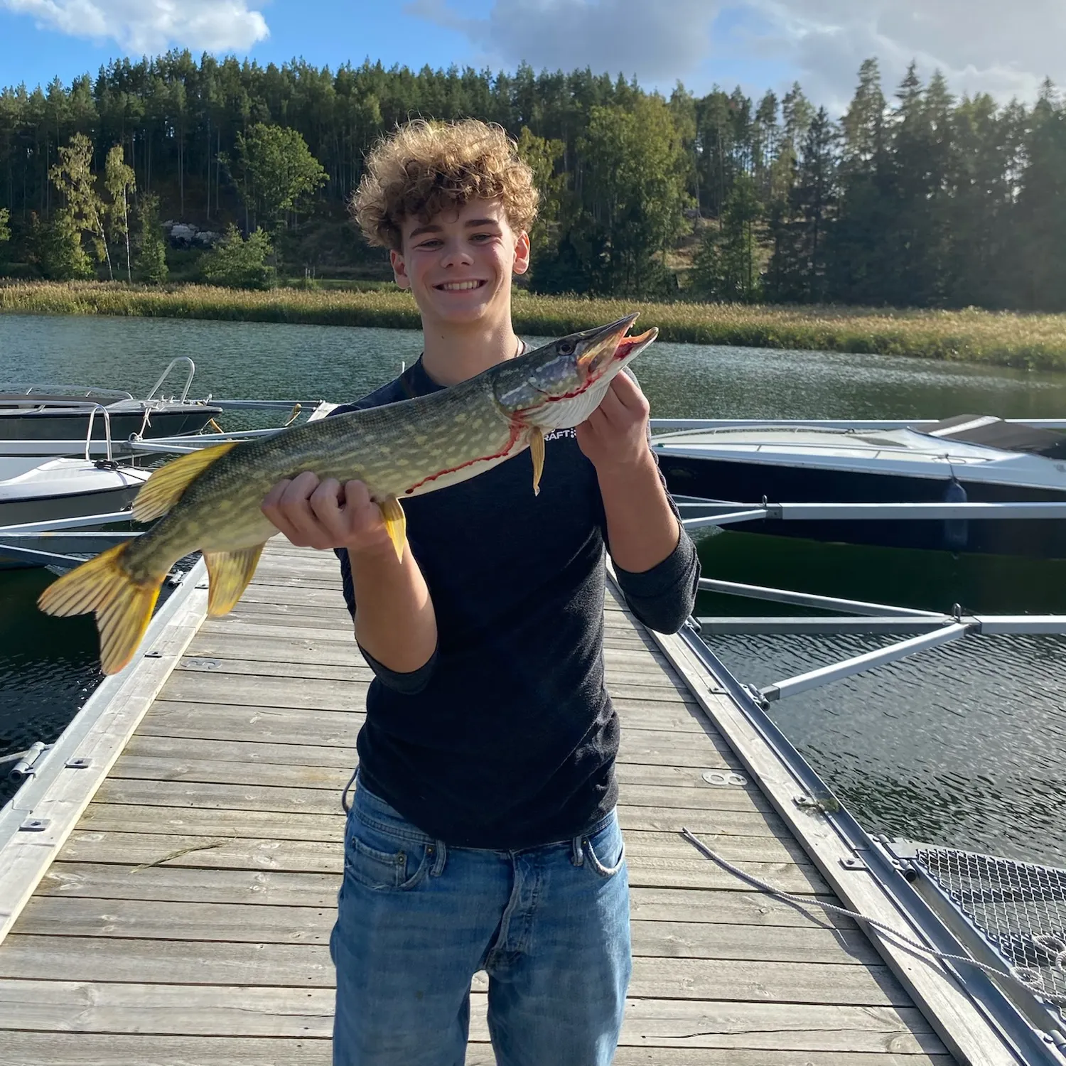 Northern pike caught on Fishbrain