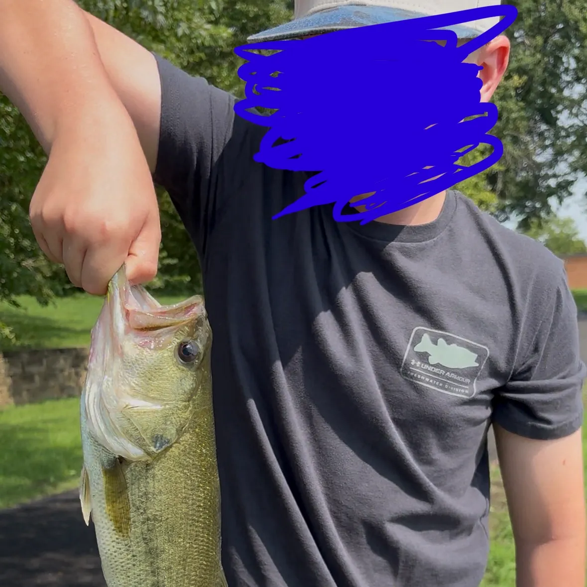 Largemouth bass caught on Fishbrain