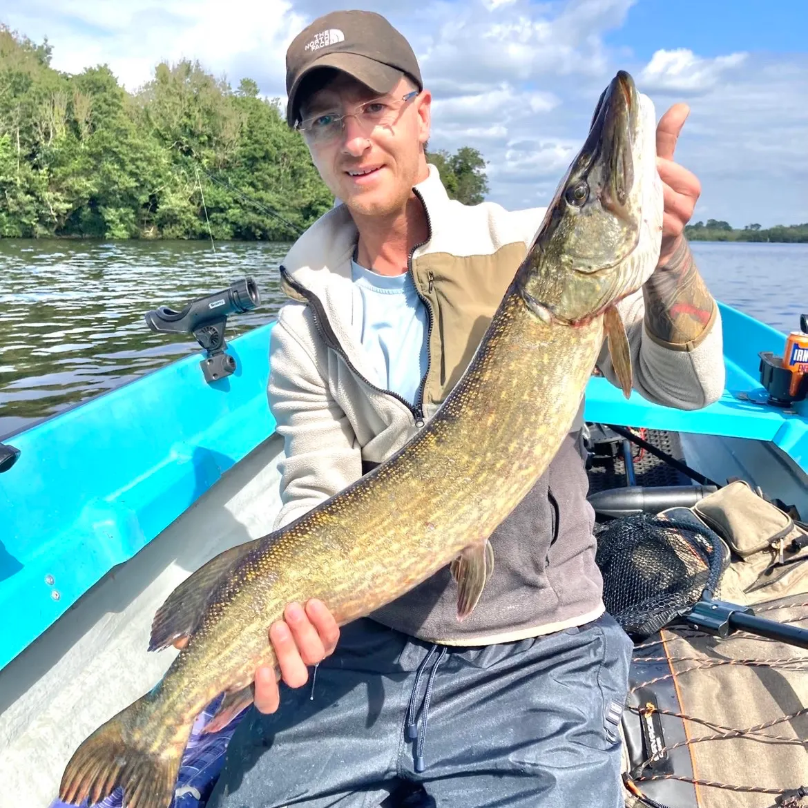 Northern pike caught on Fishbrain