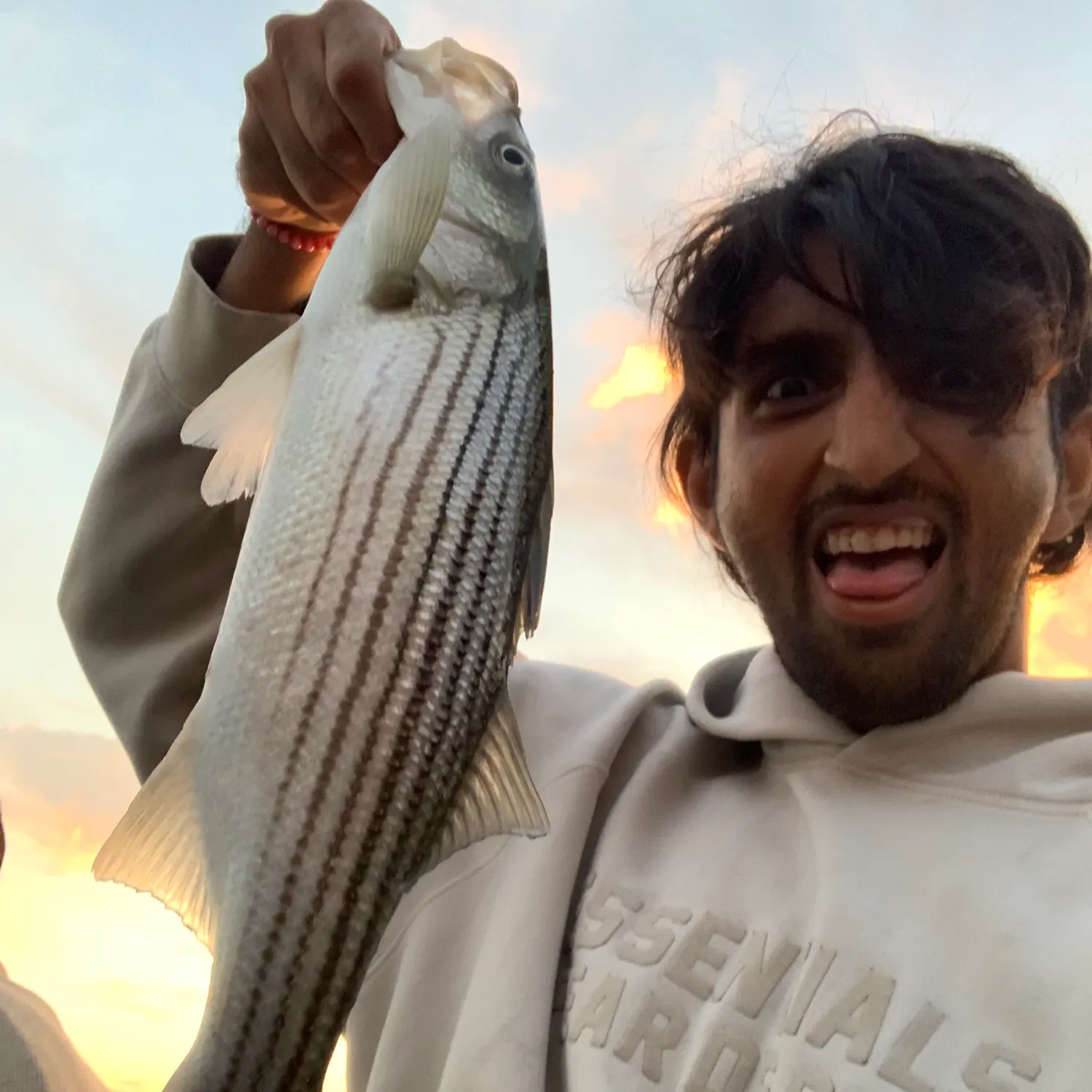 The most recent Striped bass catches on Fishbrain