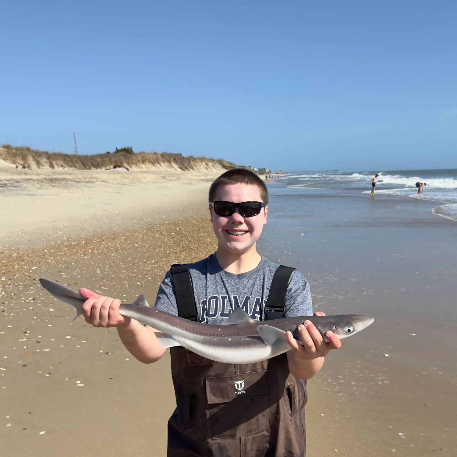 The most recent Piked dogfish catches on Fishbrain