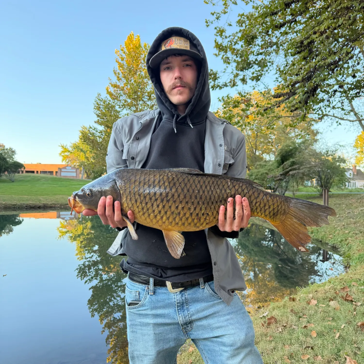 Common carp caught on Fishbrain