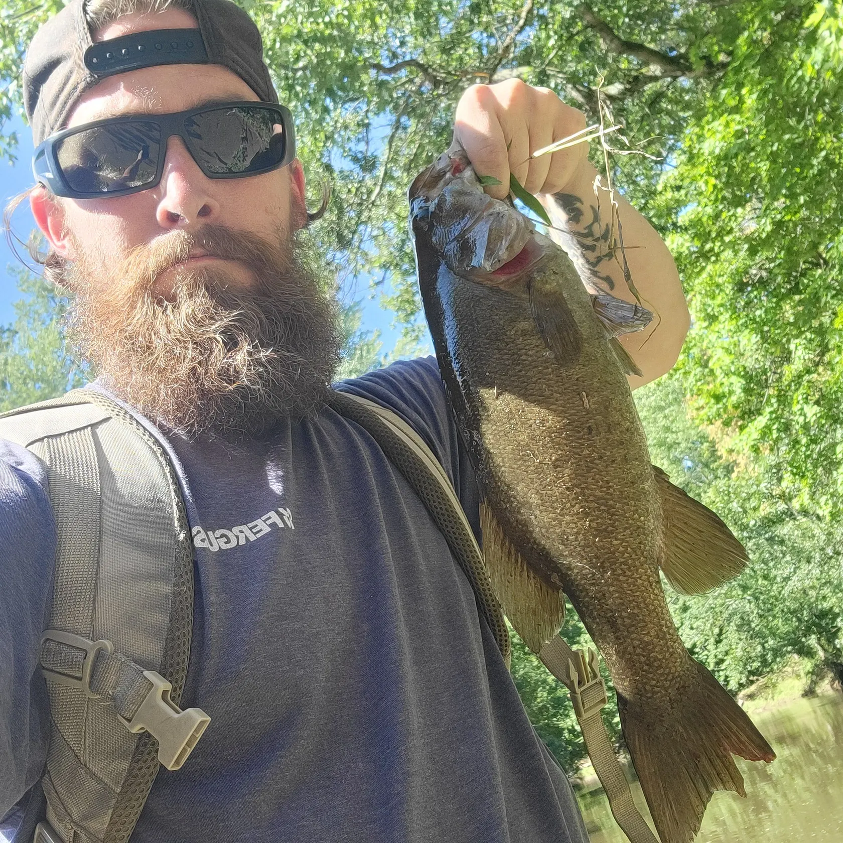 Smallmouth bass caught on Fishbrain