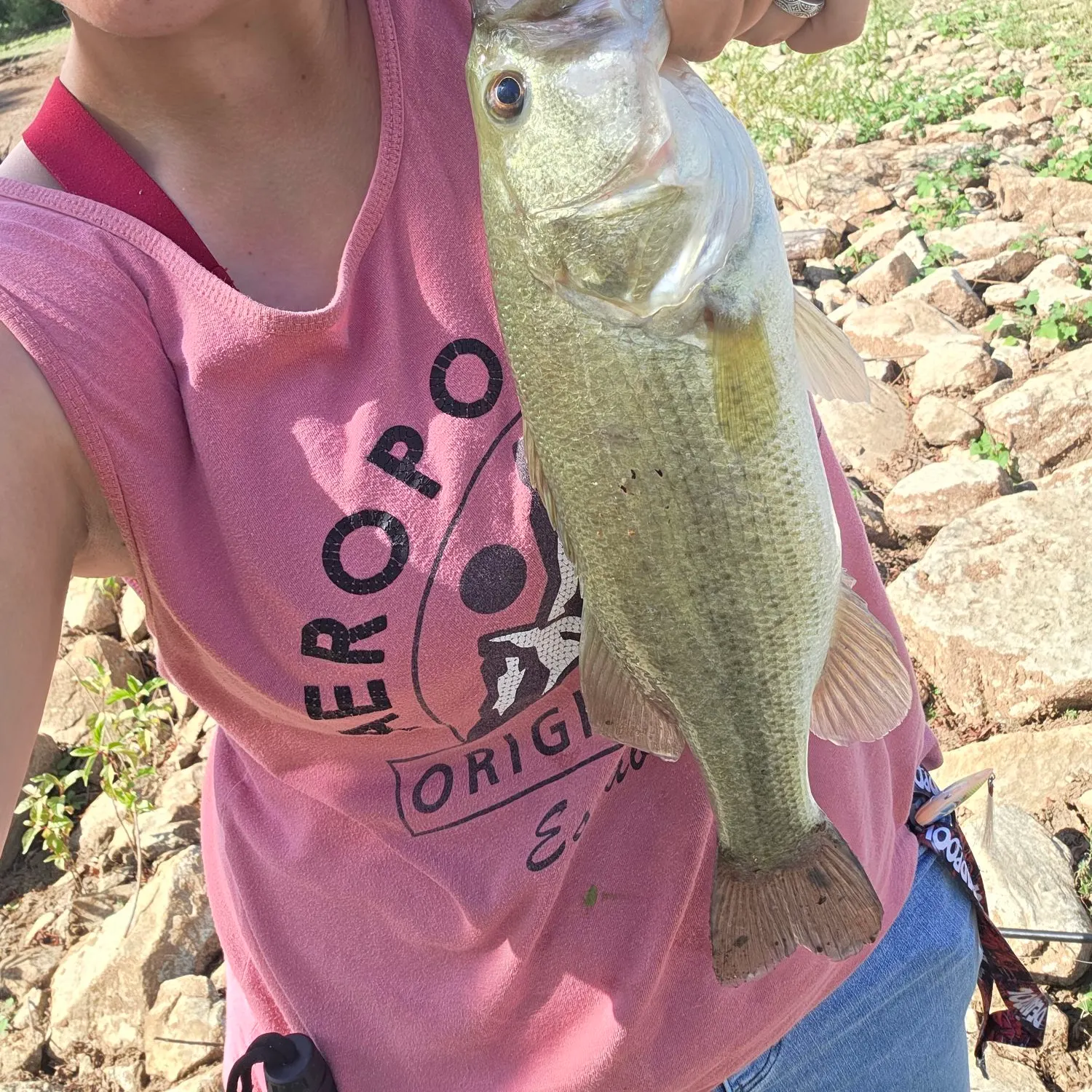 Largemouth bass caught on Fishbrain