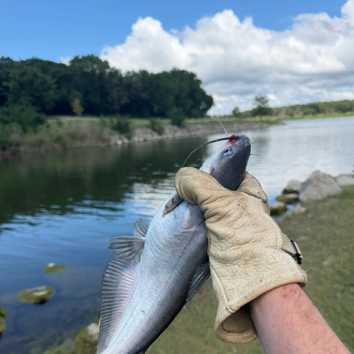 catch