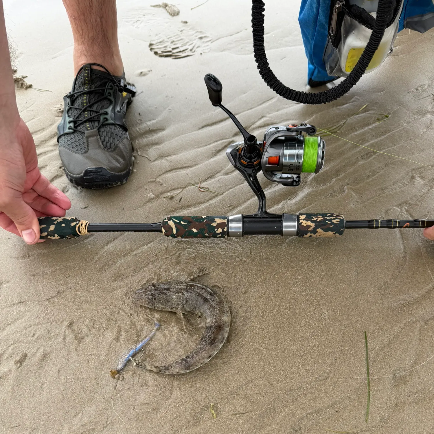 The most recent Blue-spotted flathead catches on Fishbrain