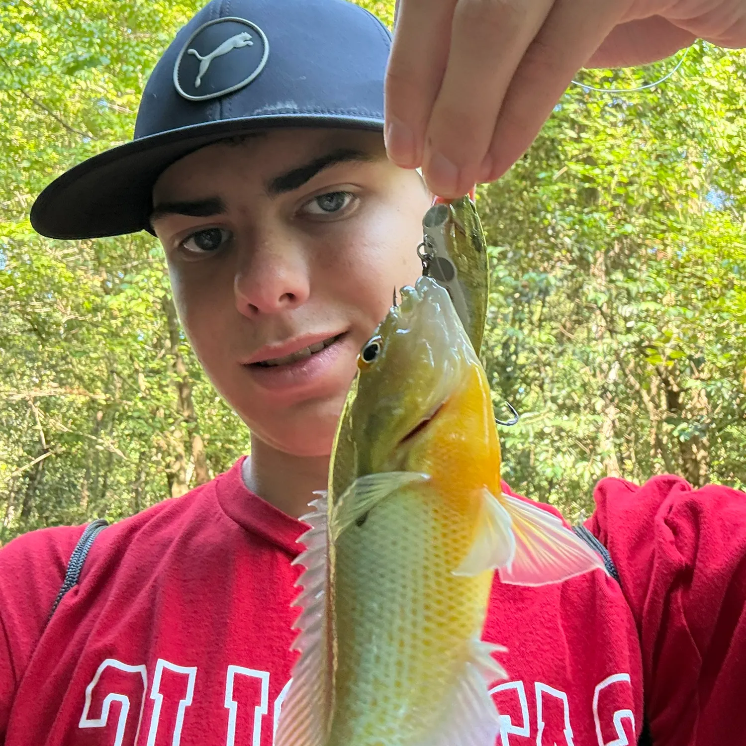 Redbreast sunfish caught on Fishbrain