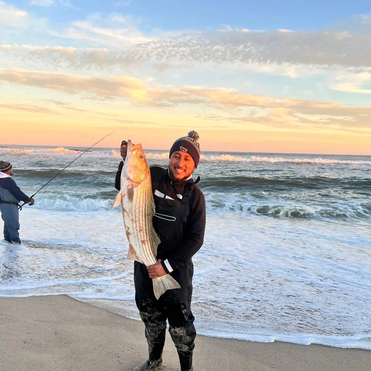 Striped bass caught on Fishbrain